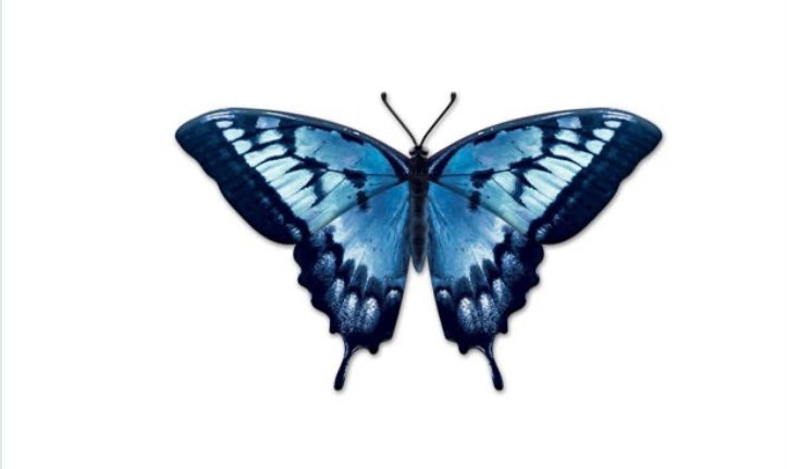 9.85” Metal Blue Butterfly Wreath Sign