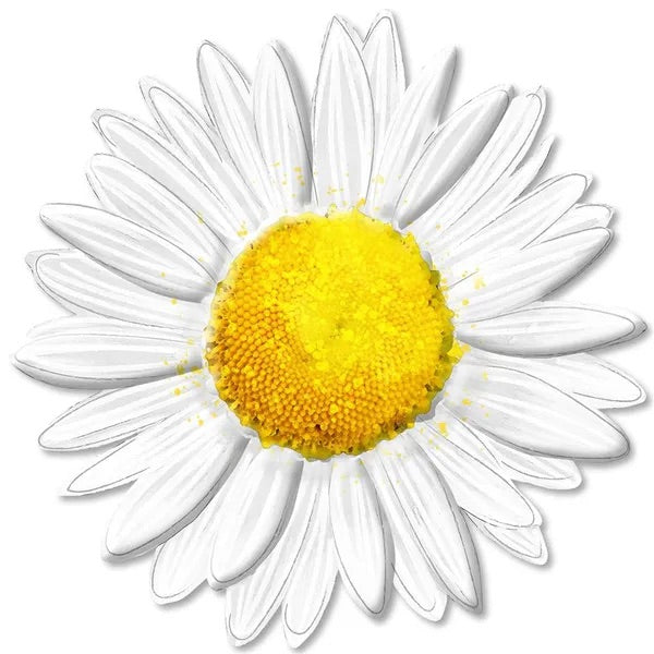 12” Metal Embossed White Sunflower Wreath Sign