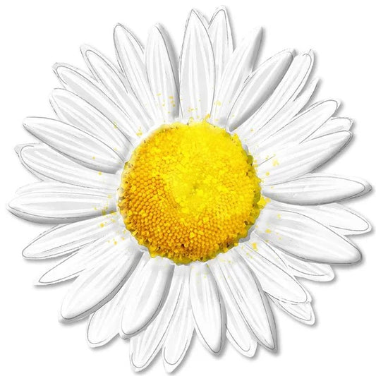 12” Metal Embossed White Sunflower Wreath Sign