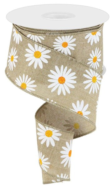 10 Yards - 2.5" Natural Daisy Ribbon